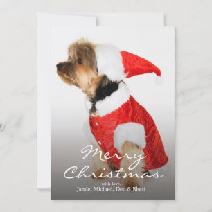 Tarjeta Festiva Retrato de Yorkshire Terrier usando Santa Hat
