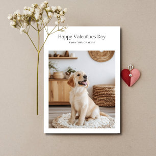 Tarjeta Festiva Retro Feliz Día de San Valentín Perro Mascotas Gra