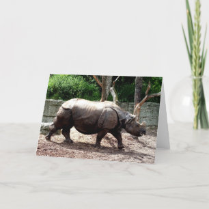Tarjeta Festiva rinoceronte indio animal