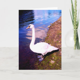 TARJETA FESTIVA RIVER SWAN