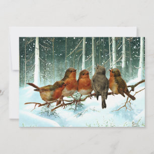 Tarjeta Festiva Robin Birds sobre los Navidades de invierno de la 