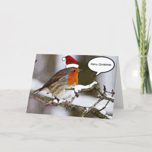 Tarjeta Festiva Robin navidades