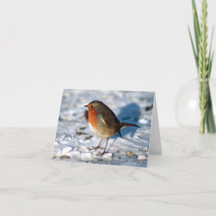 Tarjeta Festiva Robin personalizado en la Nieve