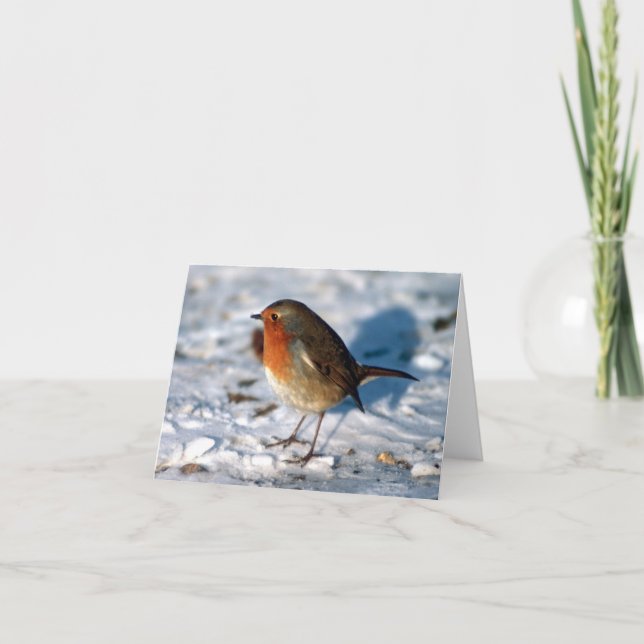 Tarjeta Festiva Robin personalizado en la Nieve (Anverso)