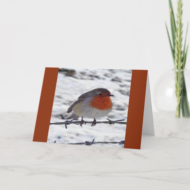 Tarjeta Festiva Robin Redmama (Anverso)