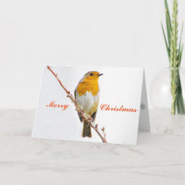 Tarjeta Festiva Robin Redmama.