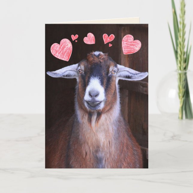 Tarjeta Festiva Rock My World Goat Valentine (Anverso)