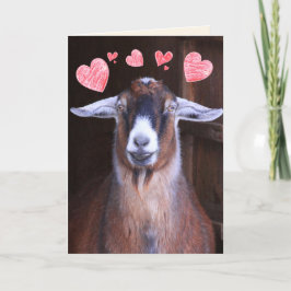 Tarjeta Festiva Rock My World Goat Valentine