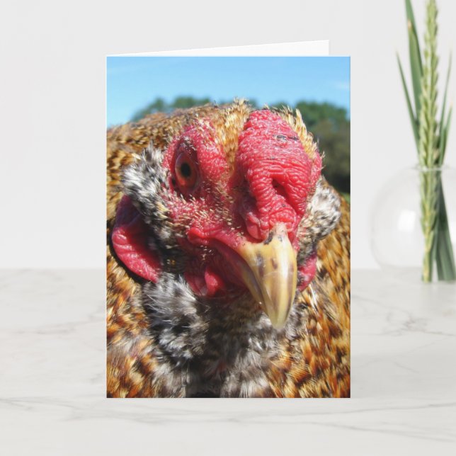 Tarjeta Festiva Rooster criollo (Anverso)