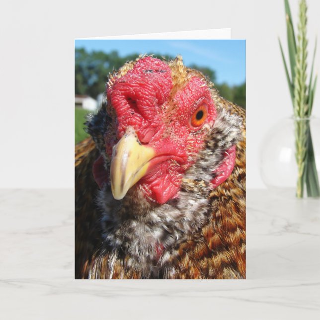Tarjeta Festiva Rooster de Pascua Creolé (Anverso)