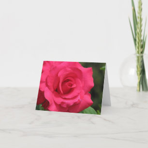 Tarjeta Festiva Rosa
