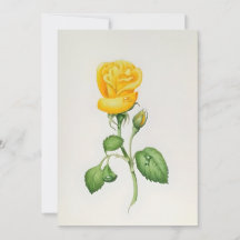 Rosa Amarilla en Acuarelas