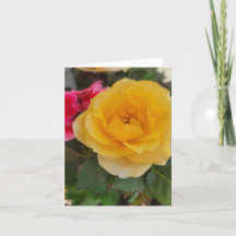 Rosa amarilla florece para mamá
