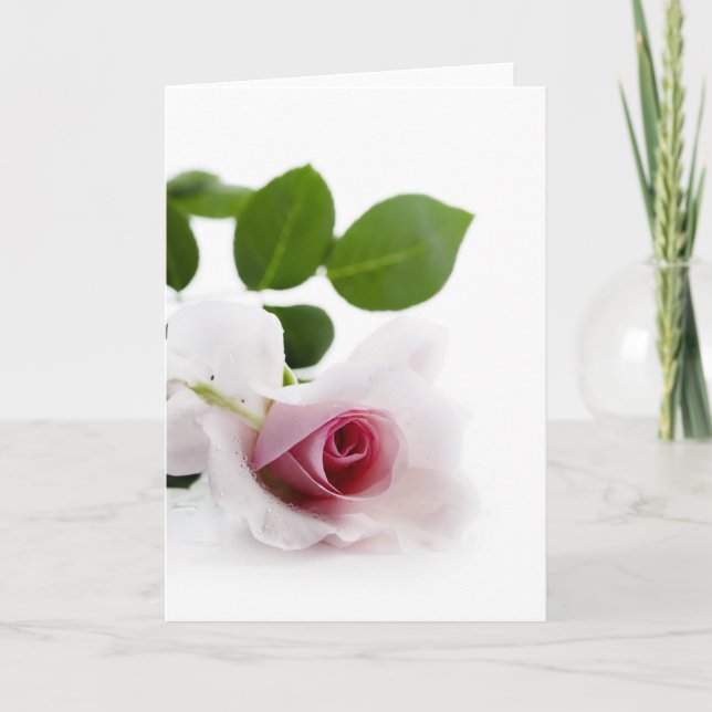 Tarjeta Festiva Rosa blanca (Anverso)