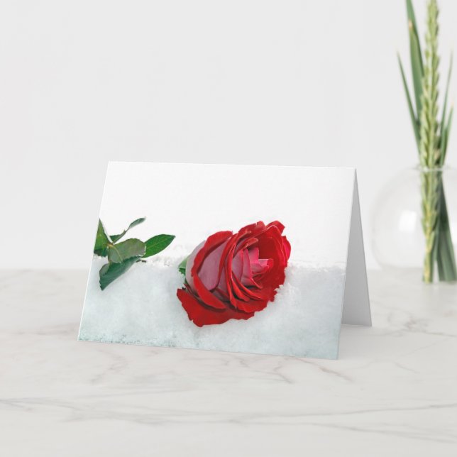 Tarjeta Festiva Rosa de boda de invierno (Anverso)
