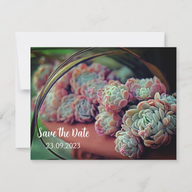 Tarjeta Festiva Rosa de Echeveria Suculent Save the Date (Anverso)