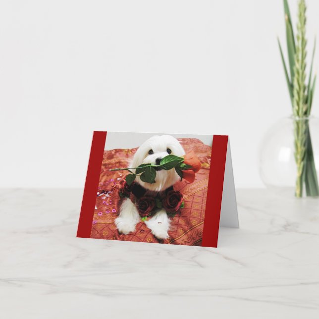 Tarjeta Festiva Rosa de San Valentín (en blanco dentro) (Anverso)