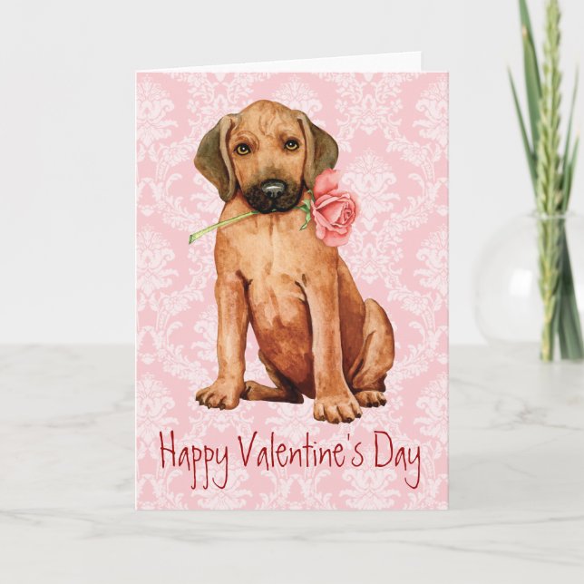 Tarjeta Festiva Rosa de Valentine Rhodesian Ridgeback (Anverso)