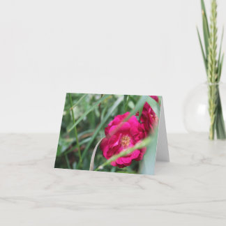 Tarjeta Festiva Rosa del Día de la Madre linda
