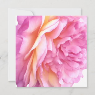 Tarjeta Festiva Rosa Flor Inglesa Pétalos Florales Blanco