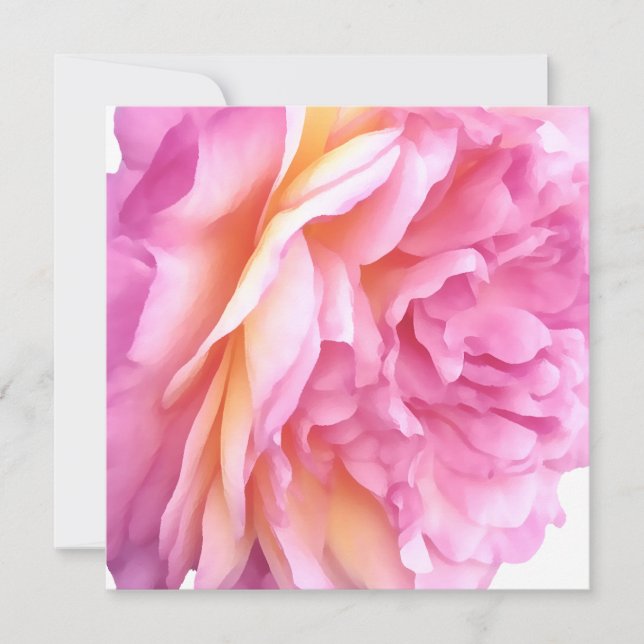 Tarjeta Festiva Rosa inglés rosa Flor Pétalos florales en blanco (Anverso)
