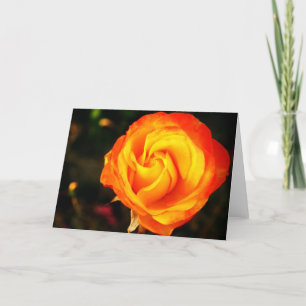 Tarjeta Festiva rosa naranja