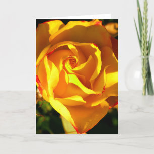 Tarjeta Festiva rosa naranja