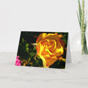 Tarjeta Festiva rosa naranja