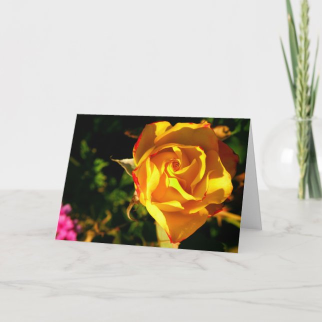 Tarjeta Festiva rosa naranja (Anverso)