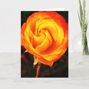 Tarjeta Festiva rosa naranja