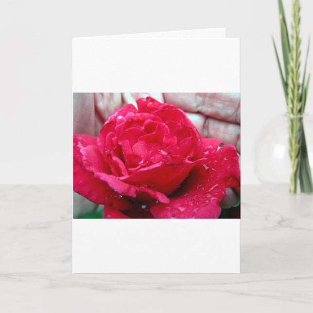 Tarjeta Festiva Rosa Roja (Anverso)