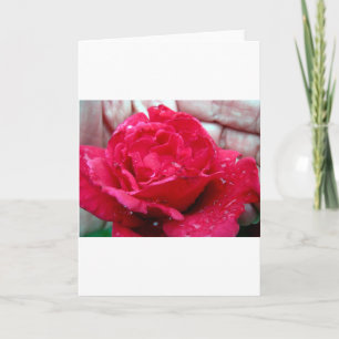 Tarjeta Festiva Rosa Roja