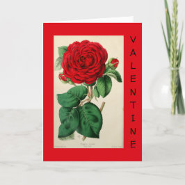 Tarjeta Festiva Rosa Roja Arte Vintage Floral Elegante San Valentí