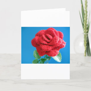 Tarjeta Festiva Rosa roja de algodón