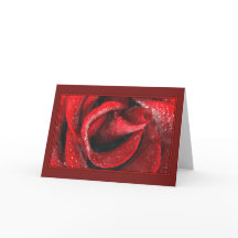 Rosa roja pintada de San Valentín