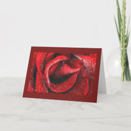Tarjeta Festiva Rosa roja pintada de San Valentín