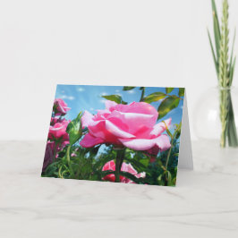 Tarjeta Festiva Rosa rosa grandioso en cielo azul. Fotografía flor