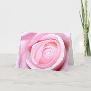Tarjeta Festiva Rosa Rosa Rosa Rosa Rosa, S Cyr
