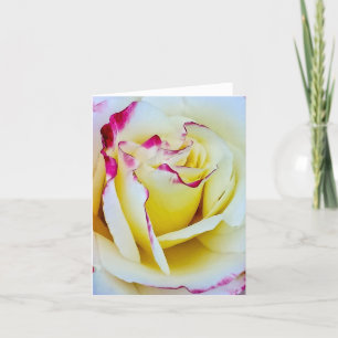 Tarjeta Festiva Rosa teñida de rosa y amarillo en flor