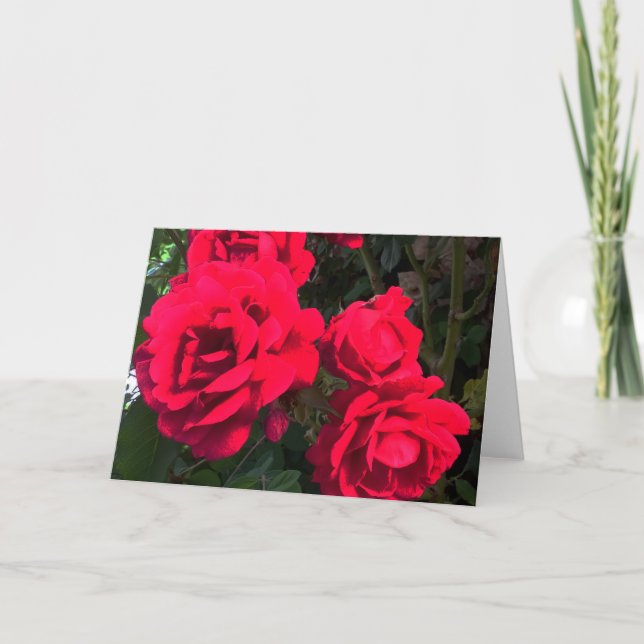 Tarjeta Festiva Rosario Roses Rojos (Anverso)