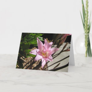 Tarjeta Festiva rosas