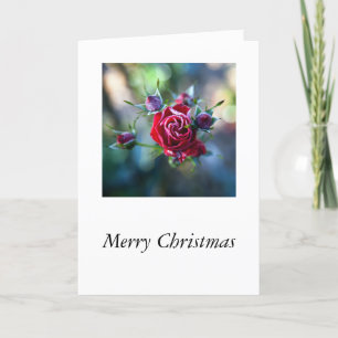 Tarjeta Festiva Rosas de hielo
