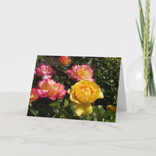 Tarjeta Festiva Rosas de San Valentín