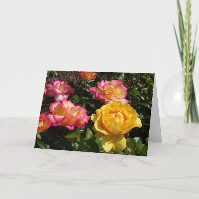 Tarjeta Festiva ¡rosas, Rosas, Rosas! (Anverso)