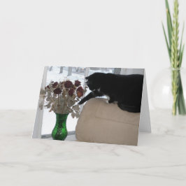 Tarjeta Festiva Rosas y el gato