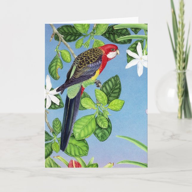 Tarjeta Festiva Rosella del este (Anverso)