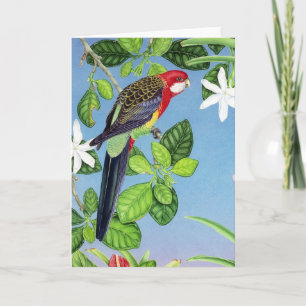 Tarjeta Festiva Rosella del este