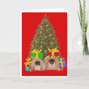 Tarjeta Festiva Royalty Pekingese celebra a los Navidades