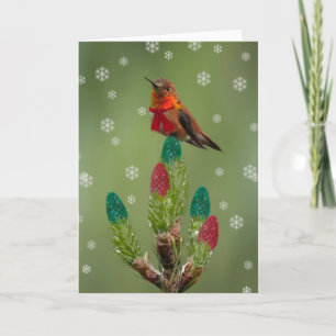 Tarjeta Festiva Rufous Hummingbird Navidades