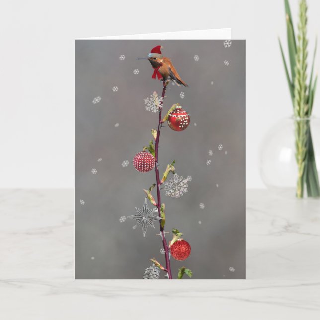 Tarjeta Festiva Rufous Hummingbird Navidades (Anverso)